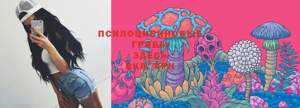 сатива Верхнеуральск