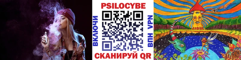Галлюциногенные грибы Psilocybe Купить закладки Княгинино